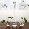 Vaser fest bröllop hem dekoration hydroponics växt boll vas terrarium container kreativt hängande glas