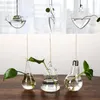 Vase Party Wedding Home Decoration Hydroponics Plant Ball Vase Terrarium Containerクリエイティブハンギンググラス