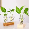 Vases Glass Planter With Wooden Stand Hydroponics Plants Bulb Desktop Terrarium Flower Vase Home Office Decor Dropship