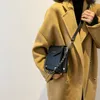 Сумка SWDF Fashion Small Square 2024 Winter Messenger Mini Mobile Phone Слумбная сумка на плече