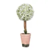 Decoratieve bloemen gratis staande ornament woonkamer plant thuis decor