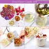 Decorative Flowers Natural Red Carnation Dried Flower Petals For Diy Sachet Scented Soap Wedding Candle Mix Material Making