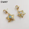 Earrings WTE674 WKT 2022 lovely style Retro blue ocean jasper pearl star shape Earrings trend jewelry Earrings wedding party lady hot