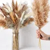 Decoratieve bloemen 120 stks gedroogd Cattail Bouquet -Pampas Grass bevat wit pampas bruin decor