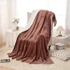 Blankets Wool Lamb Breathable Couch Chair Bedding Cover Bedspread Double Layer Thickening Winter Warm Fluffy Fur Sofa Blanket Home Decor