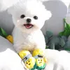 Buty odzieżowe dla psa Teddy Bichon Outdoor Footwie