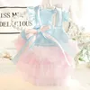 Vêtements de vêtements pour chiens printemps et été mince chat jupe princesse fraîche douce lolita petit animal en peluche