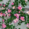 Flores decorativas de 180 cm de rosa artificial videira de alta imitação de decoração de casamentos parede pendurada rattan