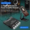 Усилитель TB21 Bluetooth Sound Sound Power Poard 2,1 канал мини -беспроводной аудио -цифровой модуль AMP 50WX2+100W Subwoofer TPA3116D2