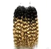 T1B613 Blond kinky Curly Micro Loop Human Hair Extensions 200s Ombre Micro Loop Ring Hair Extensions 200g Curly Micro Bead Hair E5157138