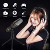 Microphones Wired Computer Microphone Portable Play Play Podcast Podcast Singing Enregistrement Réduction du bruit de bureau Microphone