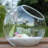 Vaser 8/10/12 cm Micro Landscape Glass Vase Succulent Plant Terrarium Container Flower Pots Oblied For Home Garden Decor