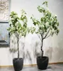 Decoratieve bloemen Simulatie Eucalyptus Tree European Style Showroom Silk Entry Lux Round Leaf Green Plant binnen