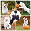 Vêtements pour chiens animaux de compagnie cosplay Apparels ajusté les costumes d'Halloween adaptables pour les chats habillés accessoires pour voyager PO