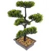 Fiori decorativi piante finte ornamenti decorazioni del bagno per scrivania bonsai artificiale albero realistico realistico