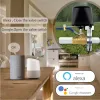 Caméras Tuya Zigbee Wifi WiFi Vae Garden Irrigation System Smart Robinet Controller Timer Gas Vae Contrôle vocal pour Alexa Google