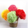 Decorative Flowers 2024 Supply Preserved Hydrangea With Stem For Home Decoration Diy Flower Big Size Natural Eternal Stabilized Preservative