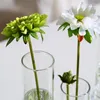 Вазы, навесная цветочная ваза, различная высота цилиндра стеклян