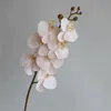 Flores decorativas 35 "Orquídeas falsas em champanhe Phalaenopsis STEM DIY Office/Wedding/Home/Holiday/Cozinha Decorações Presentes