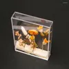 Gift Wrap Clear Acrylic Box Dry Flower Storage Container Display Creation Elegant Arrangement M6CE