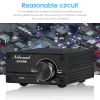 Amplifier DouK Audio NS03G Mini 100W Subwoofer / Full Frequency Mono Channel TPA3116 Digital Amplifier Desktop Audio Power AMP