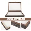 Frames Needle Pad Butterfly Specimen Display Box Shelf Wooden Dried Flower Storage Case