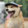 Hundkläder sommar husdjur hatt cap resor utomhus baseball duk små solskyddsmedel