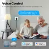 Avatto Avatto Tuya Wi -Fi Socket Eu Standard Smart Power Pult Outlet с USB/Typec Brade, приложение пульт дистанционного управления с Alexa Google Home