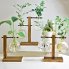 Vases de plante hydroponique Bulbe de fleur vintage pot transparent Vase Vase Bois Berce de table plantes de table