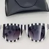 Lunettes de soleil Luxury Women Fashion Web Celebrity Blogger Star Rivet Brand Design Box Case Fime Firls Va4093 Eyewear