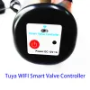 Détecteur WiFi TUYA VALVE Manipulateur 1/2 "Pipeline Intelligent Lien avec Tuya Water Sensor Control Control Protection contre les fuites d'eau