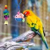 Autres fournitures d'oiseau 10 pack jouets de parakeet suspendus swing cage animal de compagnie mât pour les petits perroquets pinches aiment les oiseaux