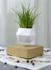 Magnetisk upphängning Flower Levitating Air Bonsai Pot Plant Succulent Patio Dekoration Desktop Floweren C11114088781