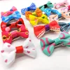 Dog Apparel 5pcs Mixed Colors Cute Pet Head Flower Clip Fashion Bow Cat Headwear Supplies Grooming Accessories Products