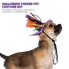 Abbigliamento per cani Halloween Costume Benpla Purple Witch Maglie Cappello Pumpkin Kitten Pet Costumi Accessori Capi