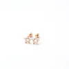 Boucles d'oreilles Couleur de mode rose rose titane en acier ballon creux étoile blanc zircon piercing bijoux pour hommes femmes