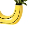 Vases Resin Rainbow Banana Vase Flower Pot Thickened Arch Arrangement Planter Colorful U Shape Office Decoration