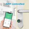 Lock European Standard Home Smart Cylinder Lock Biometric Fingerprint Bluetooth APP Remote Control Security Electronic Door Lock