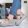 Elbise ayakkabıları 2024 kadın balık ağız yaz moda açık ayak parmağı elastik bant sandalları açık rahat rahat yüksek topuklu