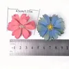 Dekorativa blommor 50st Star Language Flower Sea World DIY Simulation Wedding Decoration Wall Corsage