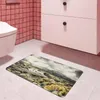 Ковры серого небо The Coast Dormat Kitchen Carpet Door Door Коврик для ванной комнаты в спальне Lounge Rug Home Decor