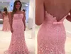 2019 Mermaid Evening Dress Pink Color With Lace Backless Formal Holiday Wear Prom Party Gown Custom Made Plus Size1772808