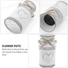 Vases Heart Shaped Flower Arrangement Plant Display Pot Home Decor Ornament Bottle Vase Indoor Watering Can Iron Holder