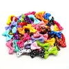 Appareils pour chiens 30pcs Dot Pet Toiletage Clips Cat Cat Bows Hairpin Girls Barrette pour les petits chiens Supplies Accessoires