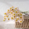 Flores decorativas 1pc Artificial Small Daisy Chamomile Flower Flower Bouquet Home Party Tabel Decor Decoração de casamento Fake Fake