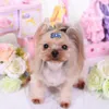 犬のアパレル10pcs耐久性のあるかわいいカラフルな骨形状ペットヘアアクセサリーヘッドウェアピンクリップ