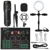 Microphones V9XPro Sound Card Studio Mixer Noise Reduction Portable Microphone Voice BM800 Live Broadcast for Phone Computer Record V9X Pro