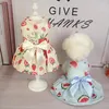 Robe d'animal de compagnie de vêtements pour chiens avec bowknot de pastèque de pastèque à fraise à fruit inégal pour petit chats moyen chats chiot