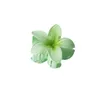 8 cm bloem clip hoofdtooi grote frangipani haar clip klauw haarspelden voor vrouw Hawaii haarclip krab haar klemmen dames Koreaanse haren accessoires 011