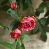 Decorative Flowers Weather-resistant Flower Decoration Realistic Hanging Artificial Rose Green Plant For Home Wedding Decor Long-lasting